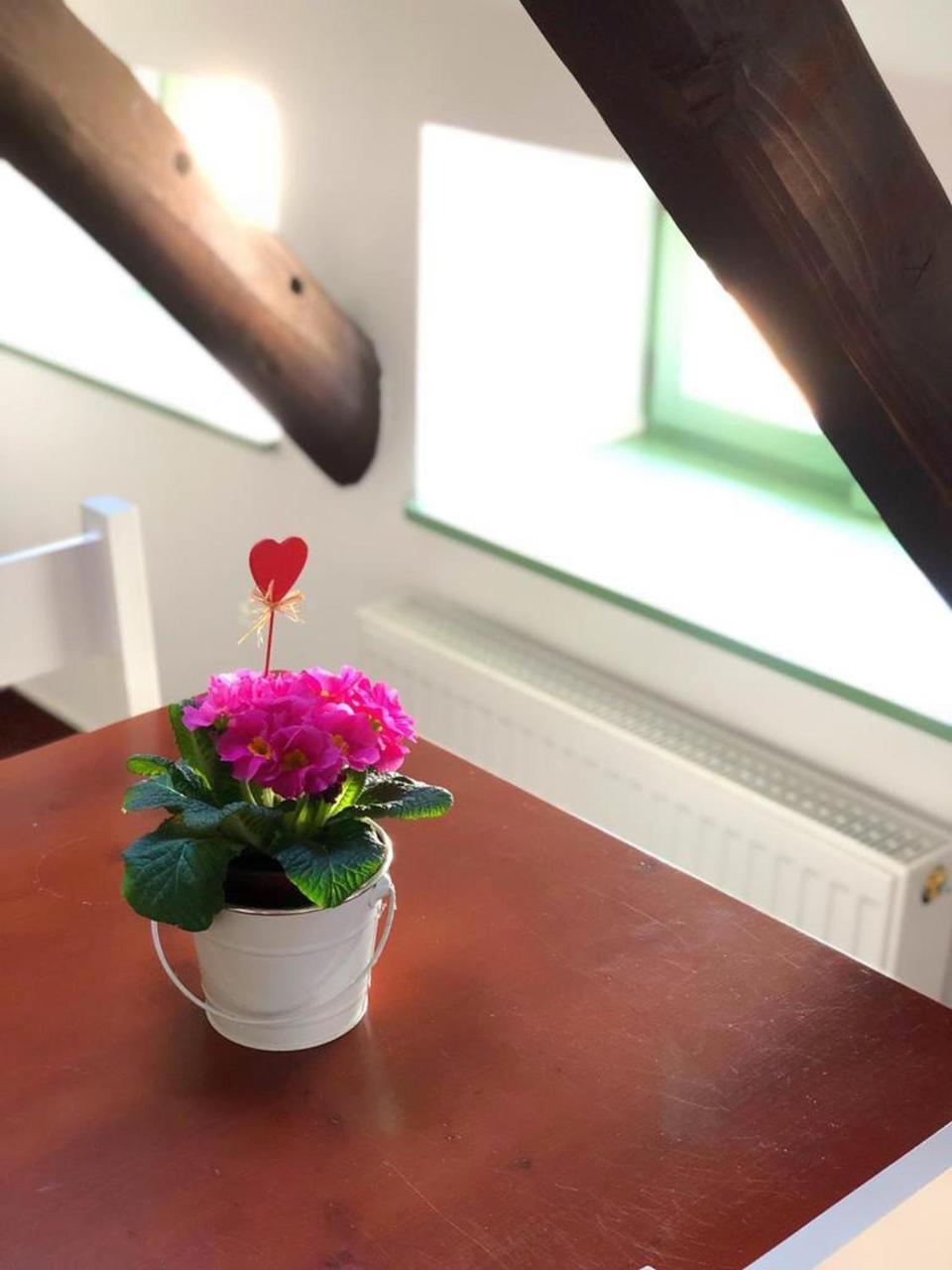 Kap Cafe Bed & Breakfast Kaplice Dış mekan fotoğraf